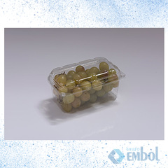 EMBALAGEM PET GALVANOTEK GF501 P/ FRUTAS 500G C/500