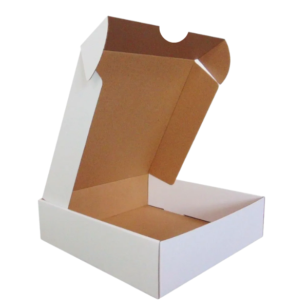 CAIXA DE PAPELÃO PARA CORREIO 31,5X21,5X12,5