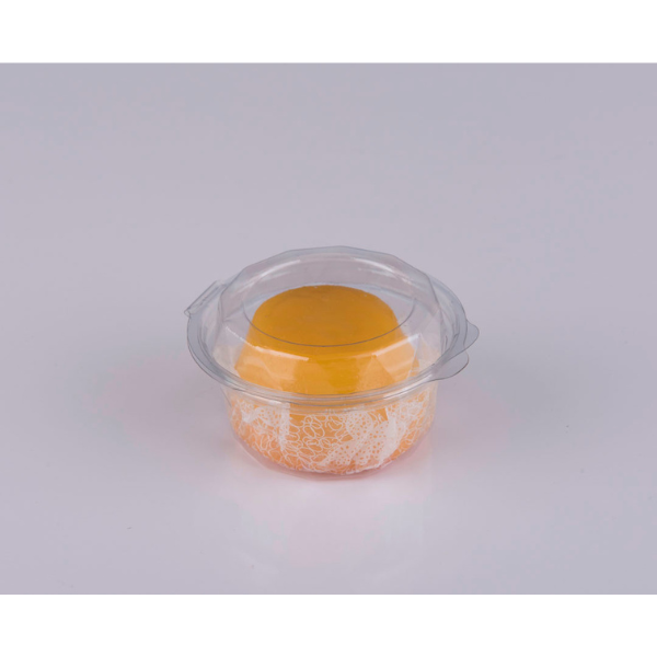 EMBALAGEM GALVANOTEK G-645D R.550634 COM 300