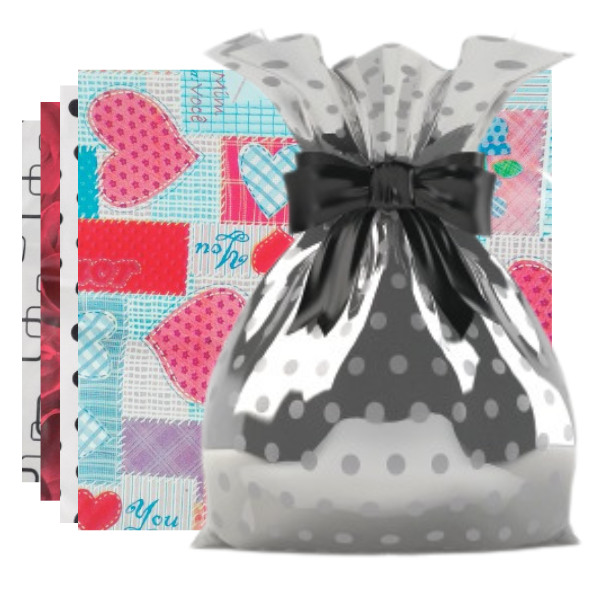 ENVELOPE PRESENTE MG METALIZADO VÁRIAS ESTAMPAS 20X30 COM 50