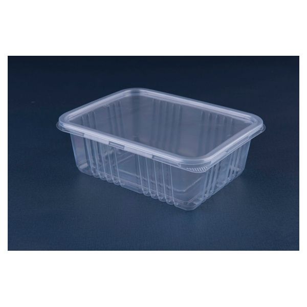 EMBALAGEM GALVANOTEK SF G-305 CRISTAL COM 10