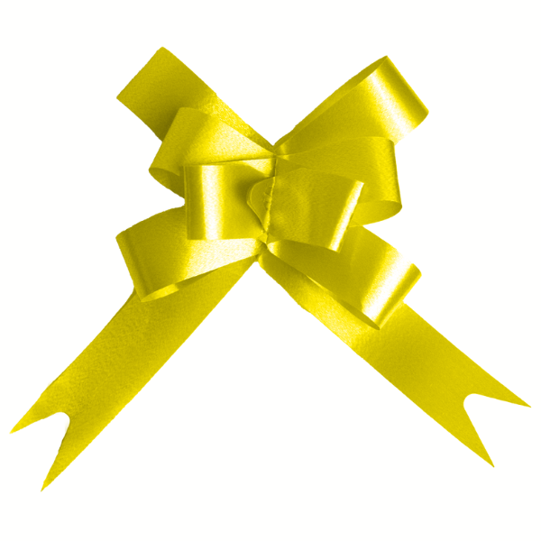 LAÇO FÁCIL FESTCOLOR 16MMX39CM AMARELO COM 10