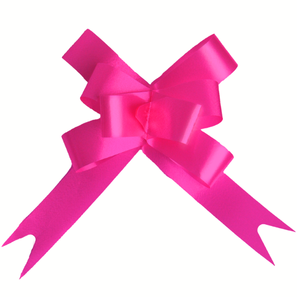 LAÇO FÁCIL FESTCOLOR 16MMX39CM PINK COM 10