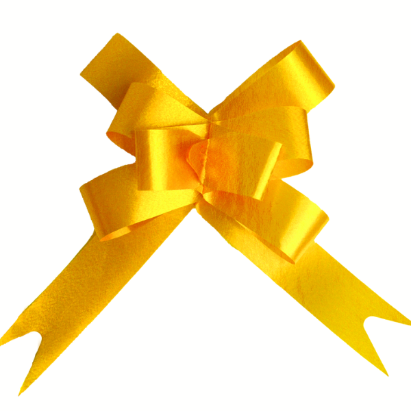 LAÇO FÁCIL FESTCOLOR 16MMX39CM OURO METALICO COM 10